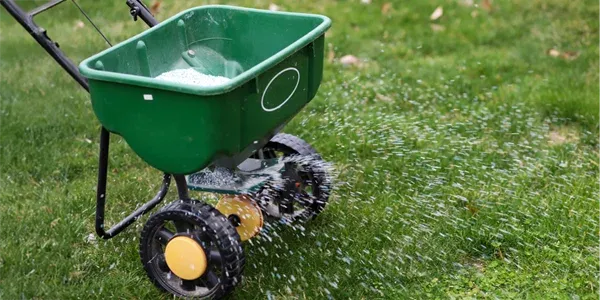 fertilizing lawn