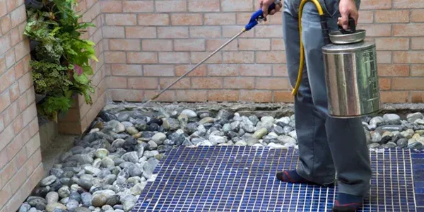 man spraying wall perimeter pest control